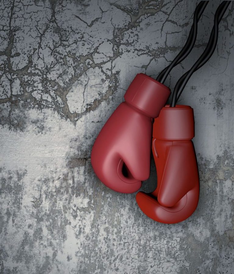 Boxhandschuhe Kickboxen Informationstext