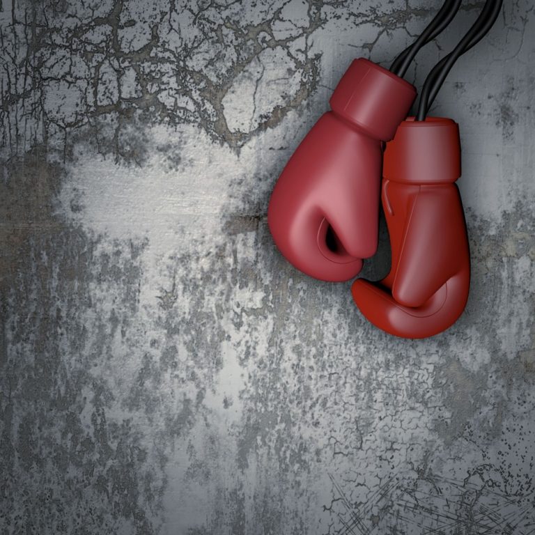 Boxhandschuhe